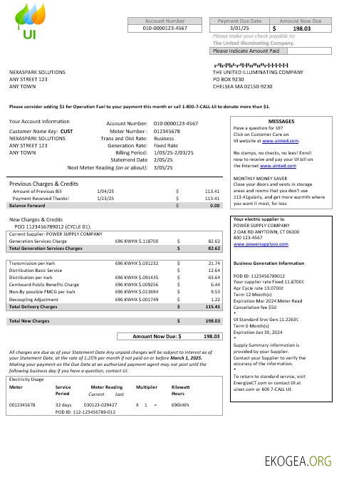 États Unis Massachusetts Chelsea UI The United Illuminating Company facture de services publics modèle Word et PDF